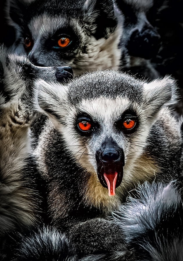 Dont take photos of me